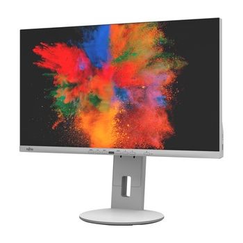 Монитор FUJITSU P24-10 TE,    Grey