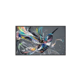 Монитор Philips 65BDL3511Q 164CM