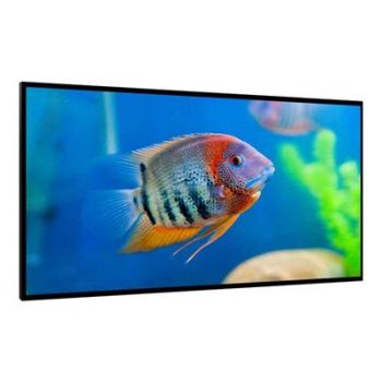 Дисплей DynaScan LCD display DI551ST2 - 140 cm (55" ) - 1920 x 1080 Full HD
