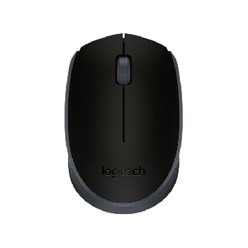 Logitech M171